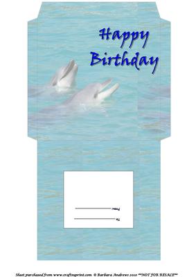 Cd/dvd Sleeve - Birthday Dolphins