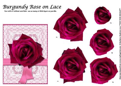 Burgundy Rose on Lace - Step by Step