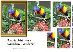 Aussie Natives - Rainbow Lorikeet Pyramid