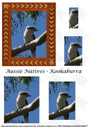 Aussie Natives - Kookaburra