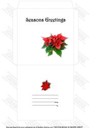 Seasons Greetings 1