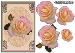 Yellow/pink Rose Topper