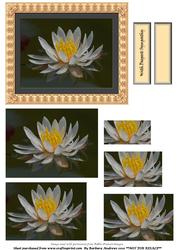 Waterlily Pyramid Topper - Sympathy