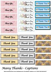 Many Thanks - Captions