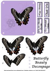 Butterfly Beauty Decoupage