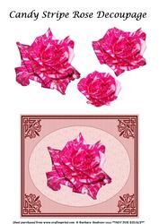 Candy Stripe Rose Decoupage