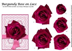 Burgundy Rose on Lace - Step by Step