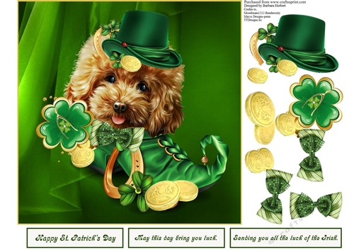 St. Patricks Lucky Day Dog Topper
