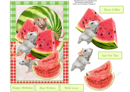Summer Watermelon Party Topper with Decoupage