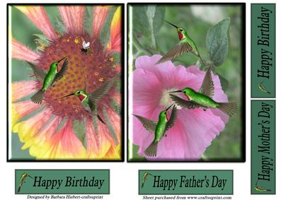 Humming Birds and Flowers Beveled Tops