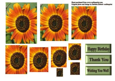 Orange Sunflower Twisted Pyramid
