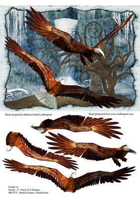 The Frozen Waterfall and Eagle Decoupage
