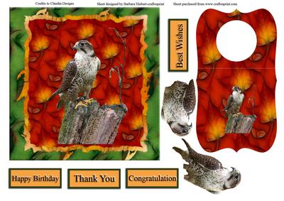 Hawk Leaf Card Top with Wine Bottle Tag & Decoupage