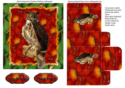Owl Card Top and Owl Gift Bag Set