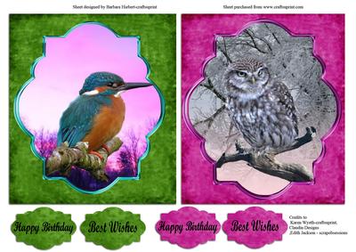 Sunset and Winter Birds Quick and Easy Toppers