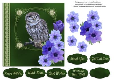 Owl Portrait with Blue Flower Decoupage