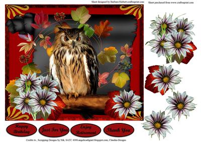 Wise Owl Black Scroll & Card Topper & Flower Decoupage
