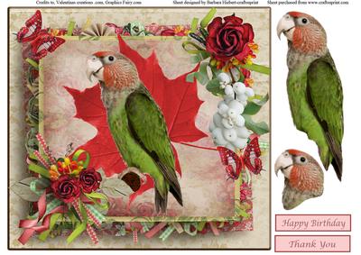 Rose Parrot Card Topper & Decoupage
