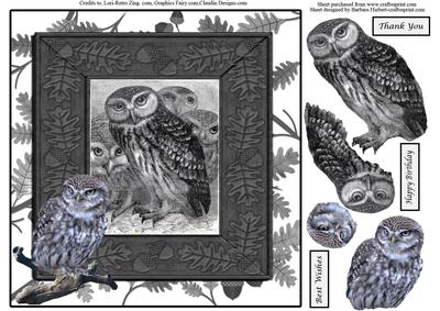 Owls and Oak Leaves Card Topper & Decoupage