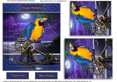 Parrot on a Pirate Beach & Pyramid Layers