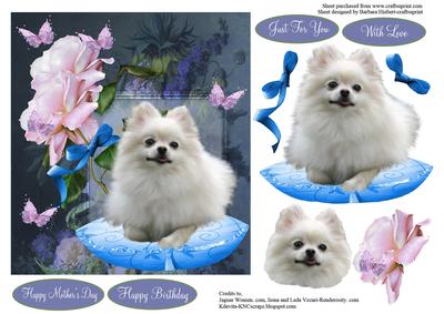 Rose Pomeranian Dog Portrait & Decoupage