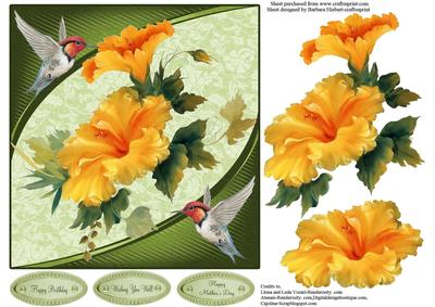 Humming Birds & Flowers Topper & Decoupage
