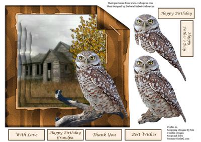 Country Scene Owl Topper & Decoupage