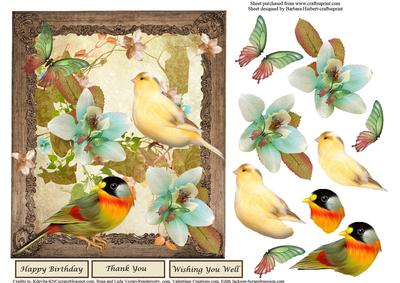 Country Birds Framed Topper & Decoupage