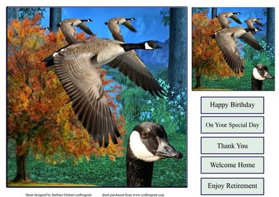 Canada Goose Quick Topper and Gift Tag
