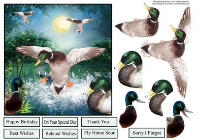 Duck Pond Splash with Decoupage