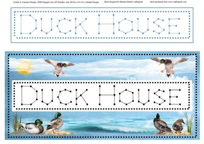 Duck House Prick and Stitch Dl