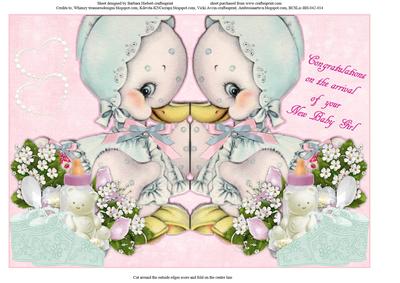 New Baby Girl Cut and Fold