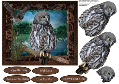 Scenic Owls Card Topper with Decoupage