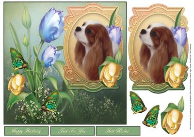 Spring Portrait of a Cavalier King Dog