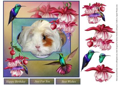 Guinea Pig Portrait and Flowers with Decoupage