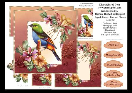 Suberb Tanger Bird and Flowers Mini Kit