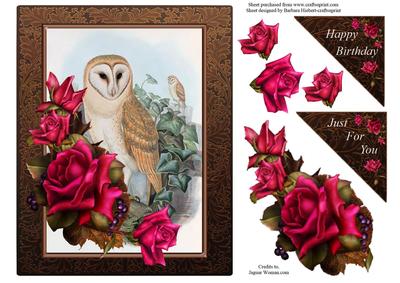 Owl and Roses Two Card Topper and Decoupage