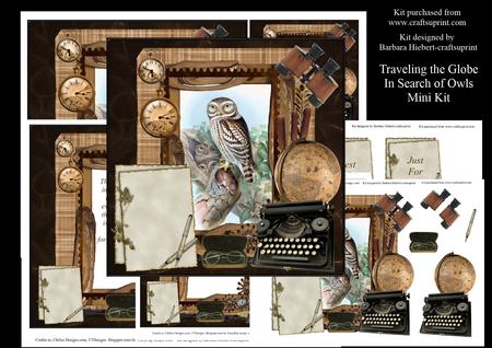 Traveling the Globe in Search of Owls Mini Kit
