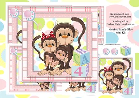 Monkey Family Pink Mini Kit