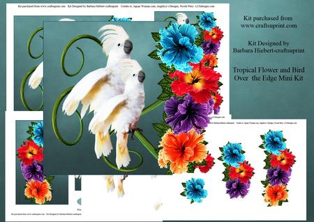Tropical Flowers and Birds Over the Edge Mini Kit