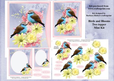 Birds and Blooms Two Topper Mini Kit