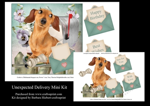 Unexpected Delivwery Mini Kit