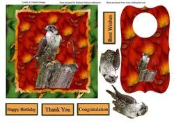 Hawk Leaf Card Top with Wine Bottle Tag & Decoupage