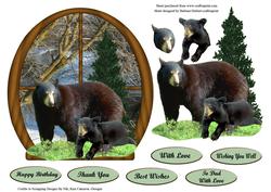 Black Bears in River Window Over the Edge Card Top E