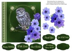 Owl Portrait with Blue Flower Decoupage