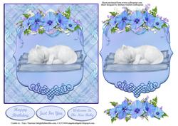White Baby Kitten Blue Card Topper & Decoupage