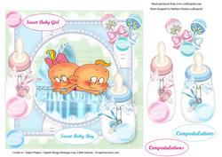 Twin Silly Babies Pink and Blue with Decoupage