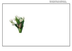 Heartfelt Sympathy Insert