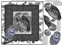 Owls and Oak Leaves Card Topper & Decoupage