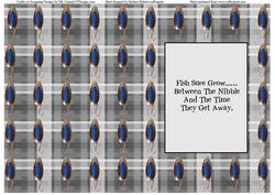 Fishing Lures on Plaid Background Insert & Verse